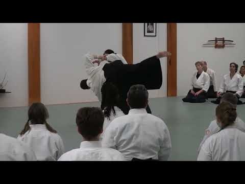 2025 Aikido of Cincinnati 50th Friday PM