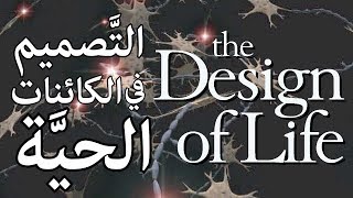 التصميم في الكائنات الحية حقيقي أم وهم؟ image