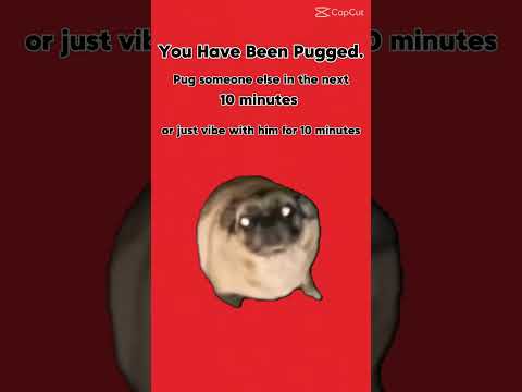 You’ve been pugged