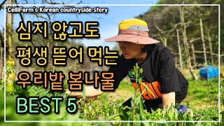 이 봄나물들은 심지 않아도 우리밭에 봄마다 항상 나와요 첼리팜 시골이야기 CelliFarm's Korean …