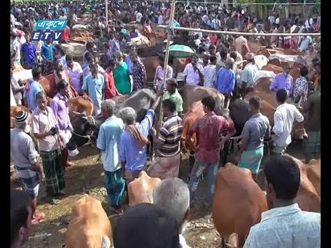 গরু-ছাগলের সরবরাহ পর্যাপ্ত হলেও দাম বেশি