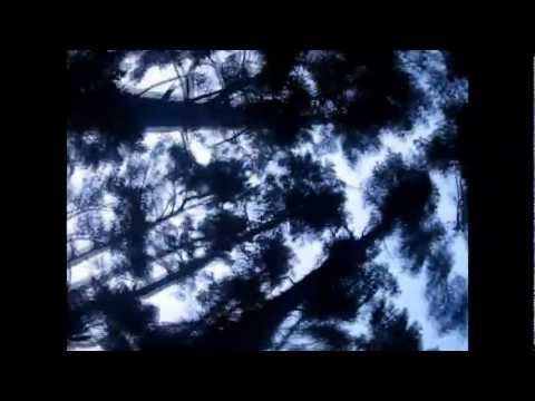 KubikSahara - SWEETs (meditation trance)