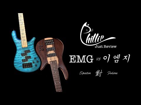 Emg Vs 이엠지 (Spector vs Fodera)