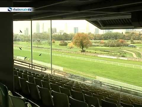 Frühjahrspreis Bankhaus Metzler - Galopprennbahn Frankfurt 28.04.13