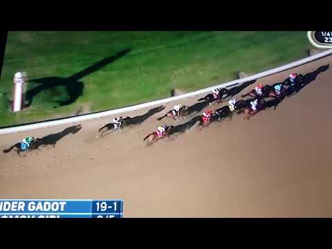 Breeders cup distaff-2018-Monomoy Girl