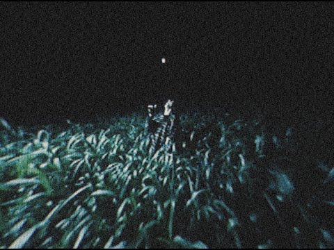 Aurore - Ashes Season (Official music video)