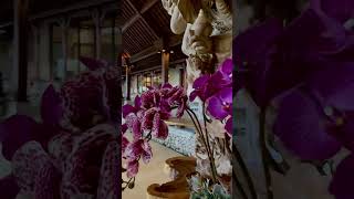 Download lagu Taman Dedari #2023 #bali mp3 Download lagu Taman Dedari #2023 #bali mp3