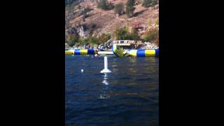 The Nyrose Flying circus act