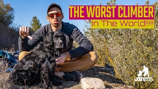 I feel like the worst climber in the world, sometimes!