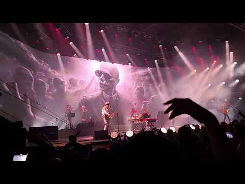 La pajarita pechiblanca | LFDAA Jesus María 05/08/23 (4K Ultra HD)