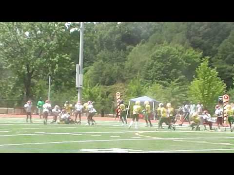 Atlanta Wildcats vs. Gresham Park