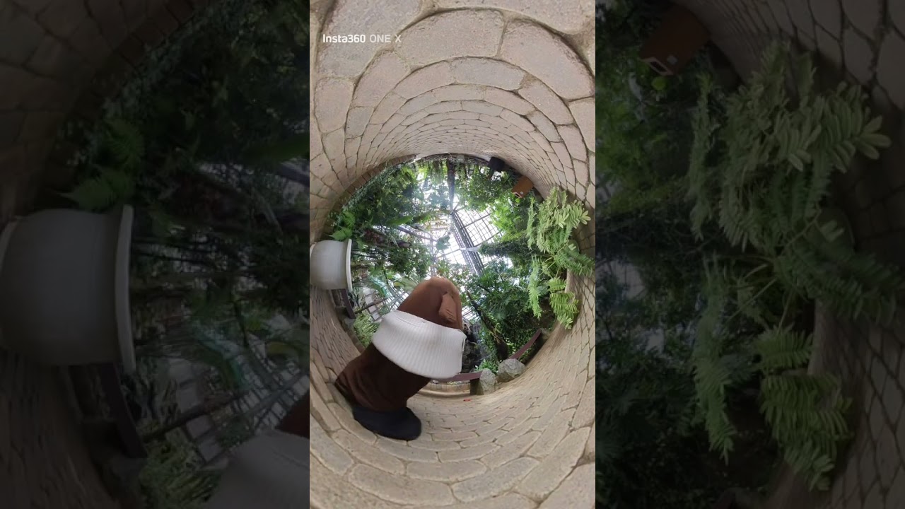 茨城県植物園走り回る