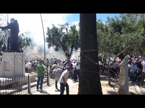 San Severo 2013 - Total chaos in the park day 2 - Via Fortore