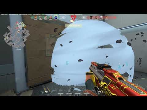 PPVL S2W1 Highlights