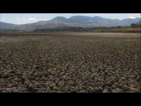 Video: Cambio climático: la sequía causa hambre en Centroamérica