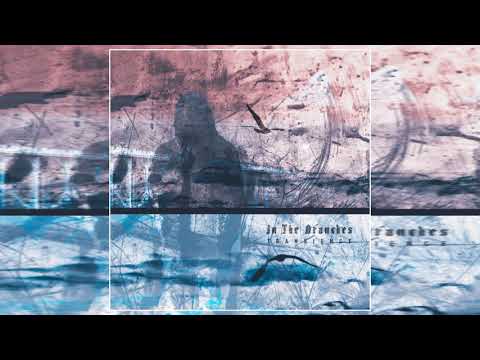 In The Branches - Transience (Full EP)
