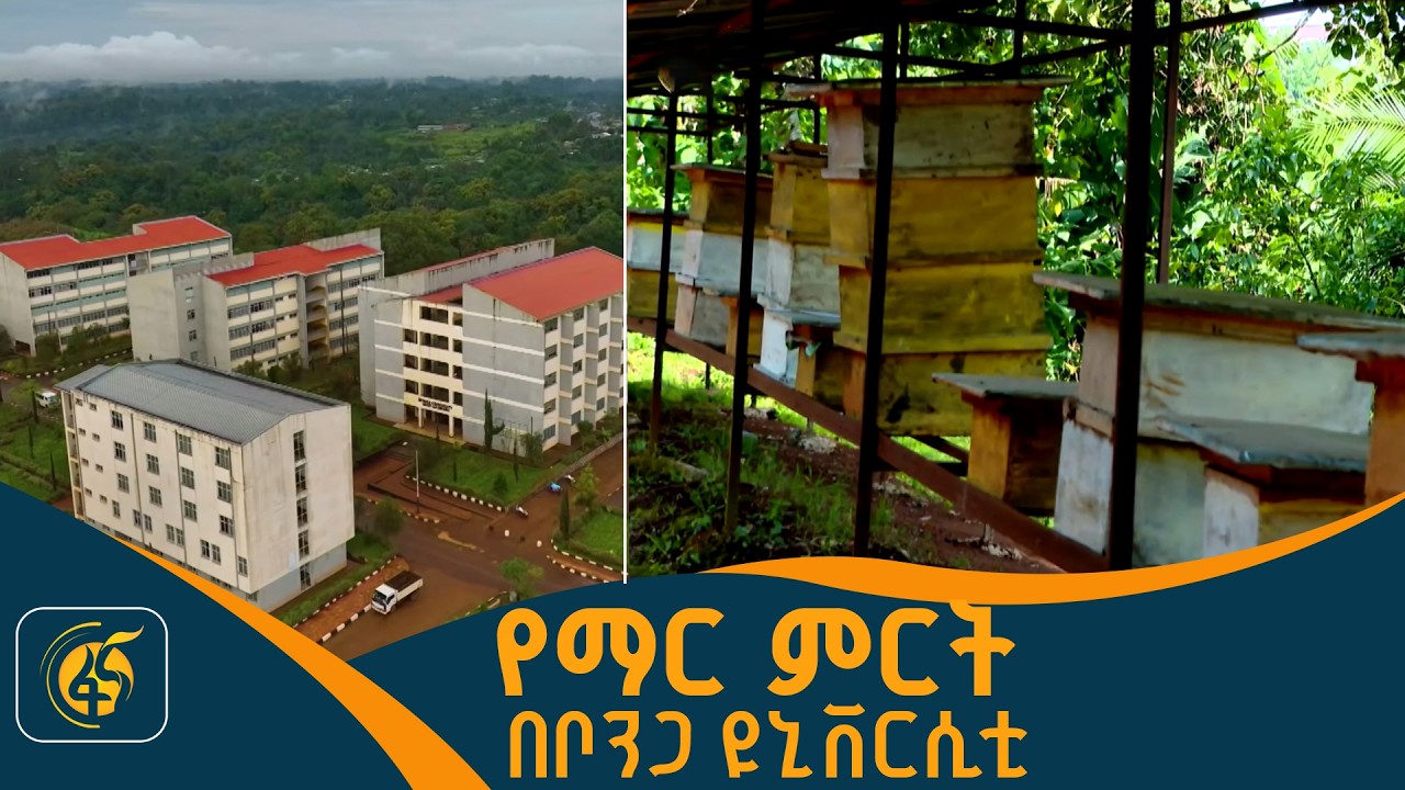 የማር ምርት የምርምር ሥራዎች በቦንጋ ዩኒቨርሲቲ