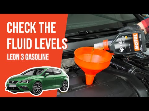 How to check the fluid levels Leon mk3 1.5 TSI 📏