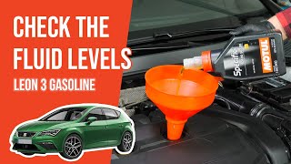 Youtube thumbnail of video "How to check the fluid levels Leon 3 1.5 TSI 📏"