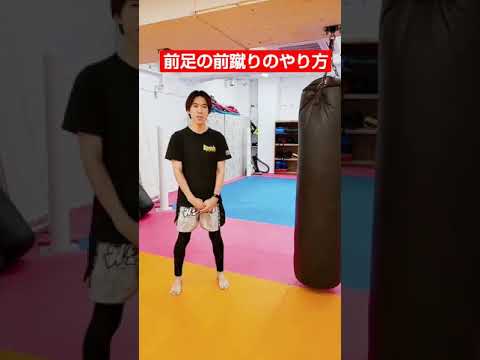 格闘技初心者向け・1分間キックボクシングセミナー【前足の前蹴り】#キックボクシング #ミドルキック #レグルス池袋 #shorts