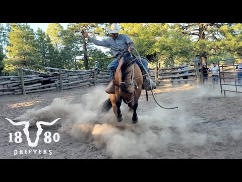 Branding Turns Into Ranch Bronc Riding