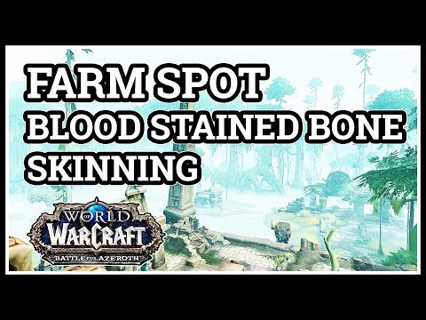 Best Blood Stained Bone Farm Spot Skinning WoW