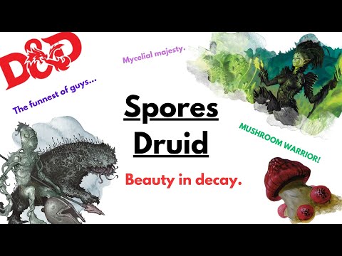 HOW TO PLAY A CIRCLE OF SPORES DRUID IN D&D 5E (2024)