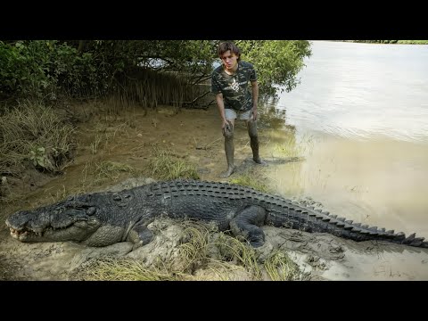 I Found The Biggest Crocodile In Australia! (Saltwater Crocodile) Pt.1