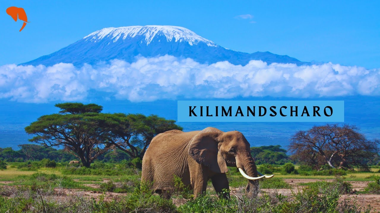 Kilimandscharo & Safari