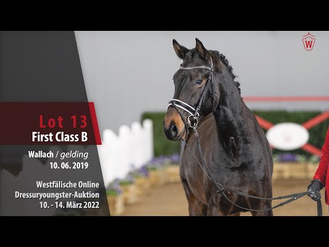 Dressuryoungster-Auktion Lot 13 First Class B Wallach v. Follow Him's Schönweide - Davis Cup