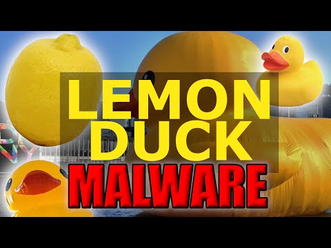 Cryptocoin Miner - Unpeeling Lemon Duck Malware