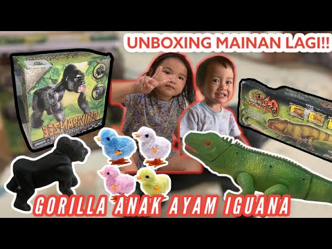 MAINAN SAPI IGUANA RAKSASA AYAM WARNA WARNI GORILLA BERTARUNG