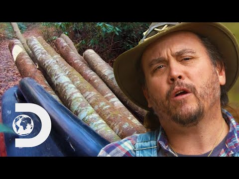 Moonshiners Strip Tree Bark To Make Incredible Low-Cost Whiskey | Moonshiners