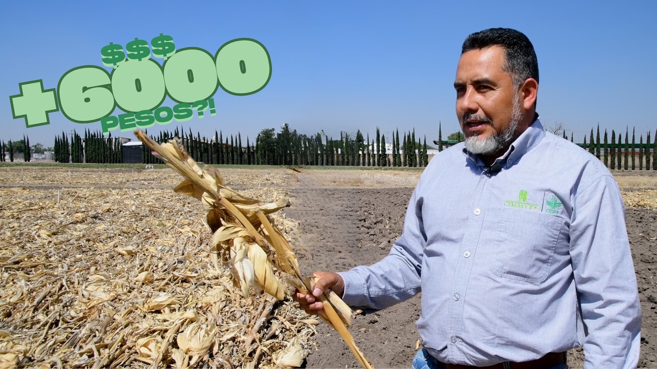 No quemes el rastrojo: estás perdiendo dinero 💸