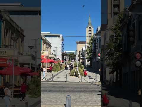 Valdivia,Región de los Ríos❤️🇨🇱 #shorts #short #chile #subscribe #shortvideo #shortsfeed #viral