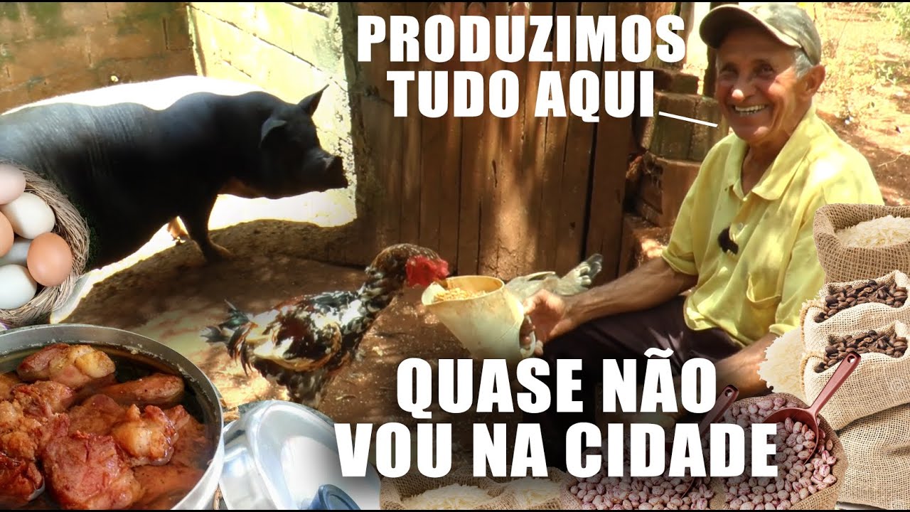 SÍTIO SUPER PRODUTIVO DO SEU ZEQUINHA - ALTO PORÃ - SP