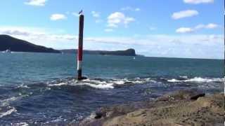 preview picture of video 'Flint and Steel Beach,  Northern Beaches NSW'