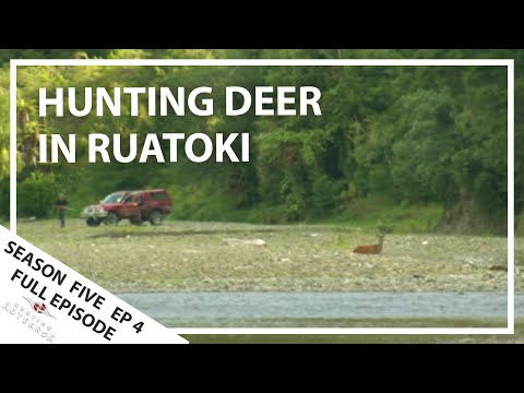 Hunting Aotearoa Series 5 Ep04 Hunting deer in Ruatoki, New Zealand