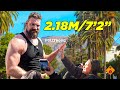The Dutch Giant 2 18M 7 2 In Los Angeles