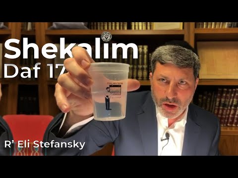 Daf Yomi Shekalim Daf 17 by R’ Eli Stefansky
