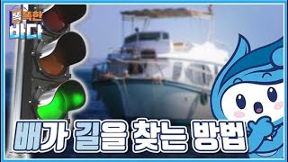 망망대해에서 배들은 어떻게 길을 찾을까? [똑똑한 바다]