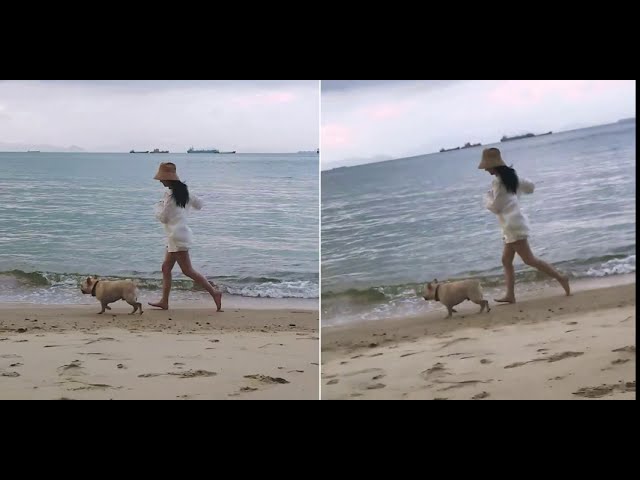 YouTube Video -