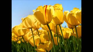 the point hidden in plain view