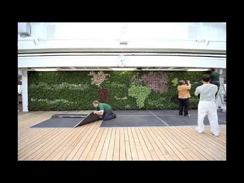 Living wall fitting | Time lapse Video | How to install living walls