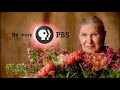 PBS 2002 2010 GRAPHIC REEL