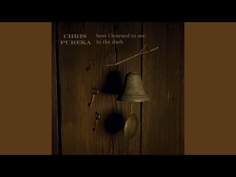 Damage Control - Chris Pureka