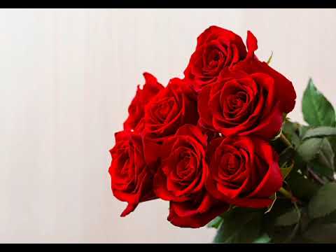 47 - Nikotina KF - São Vale TSU