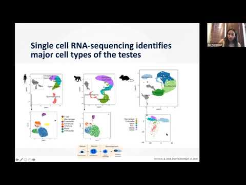 RNA Collaborative Seminar, UM Hosting, Sept. 9, 2020