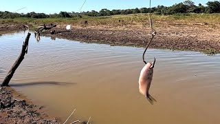 Pescaria Raiz fazia tempo que isso não acontecia só gigantesca no Rio thomaizao 