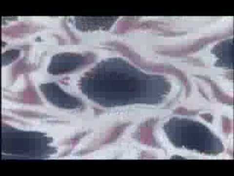 all the tecniques of the gold saints